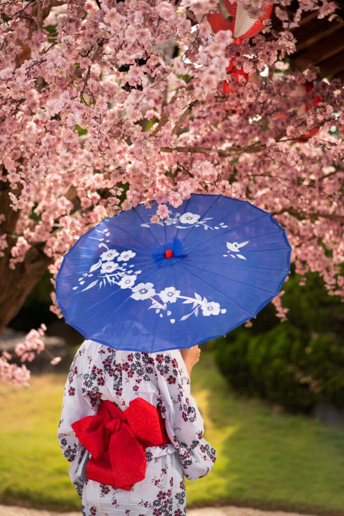 Best Time to See Cherry Blossoms in Japan: A Seasonal Guide