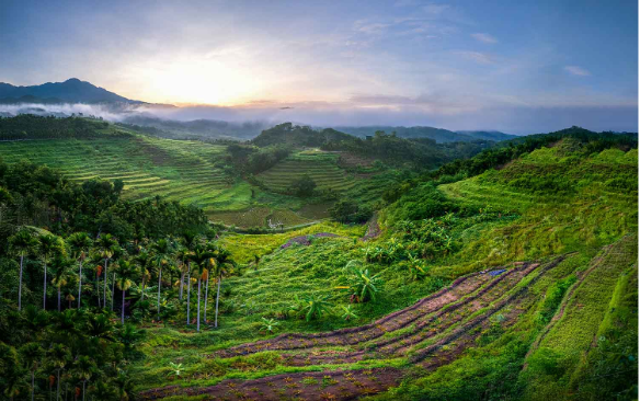 A scenic train journey through Bali's rice terraces at sunset, showcasing natural beauty with Tripmonks.