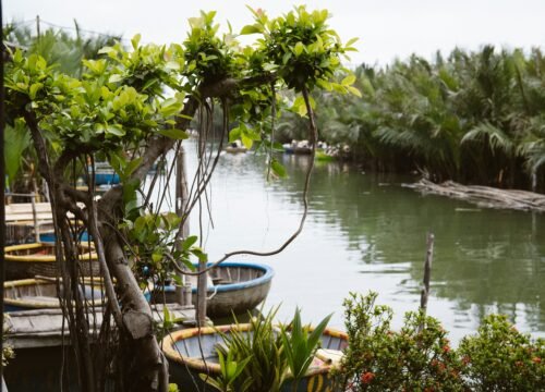 The Best Time to Visit Vietnam: A Guide to Vietnam’s Weather by Region