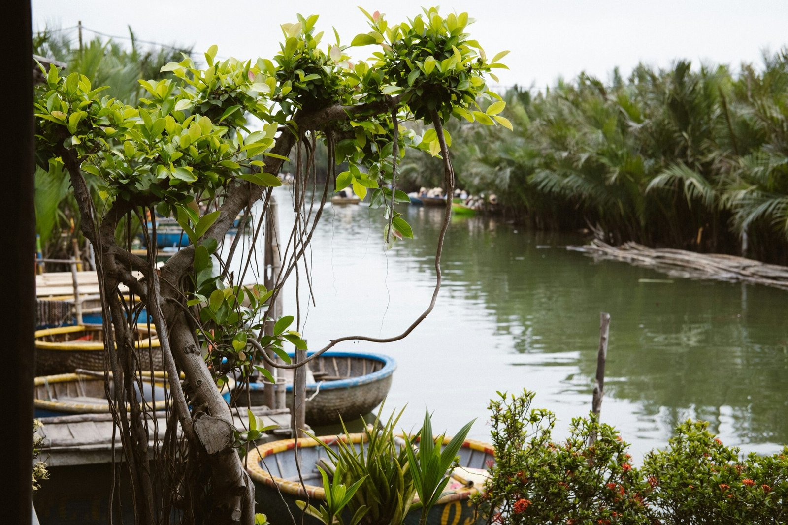 The Best Time to Visit Vietnam: A Guide to Vietnam’s Weather by Region