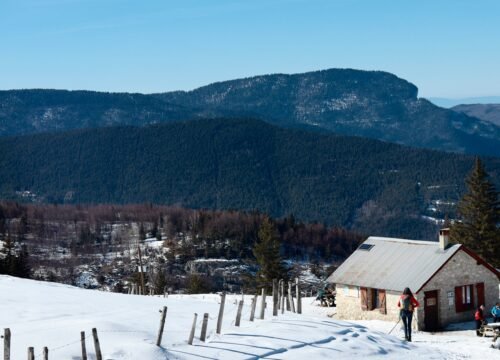 Georgia Through the Seasons: When to Visit for Wine Harvest, Mountain Hikes, or Snowy Escapes