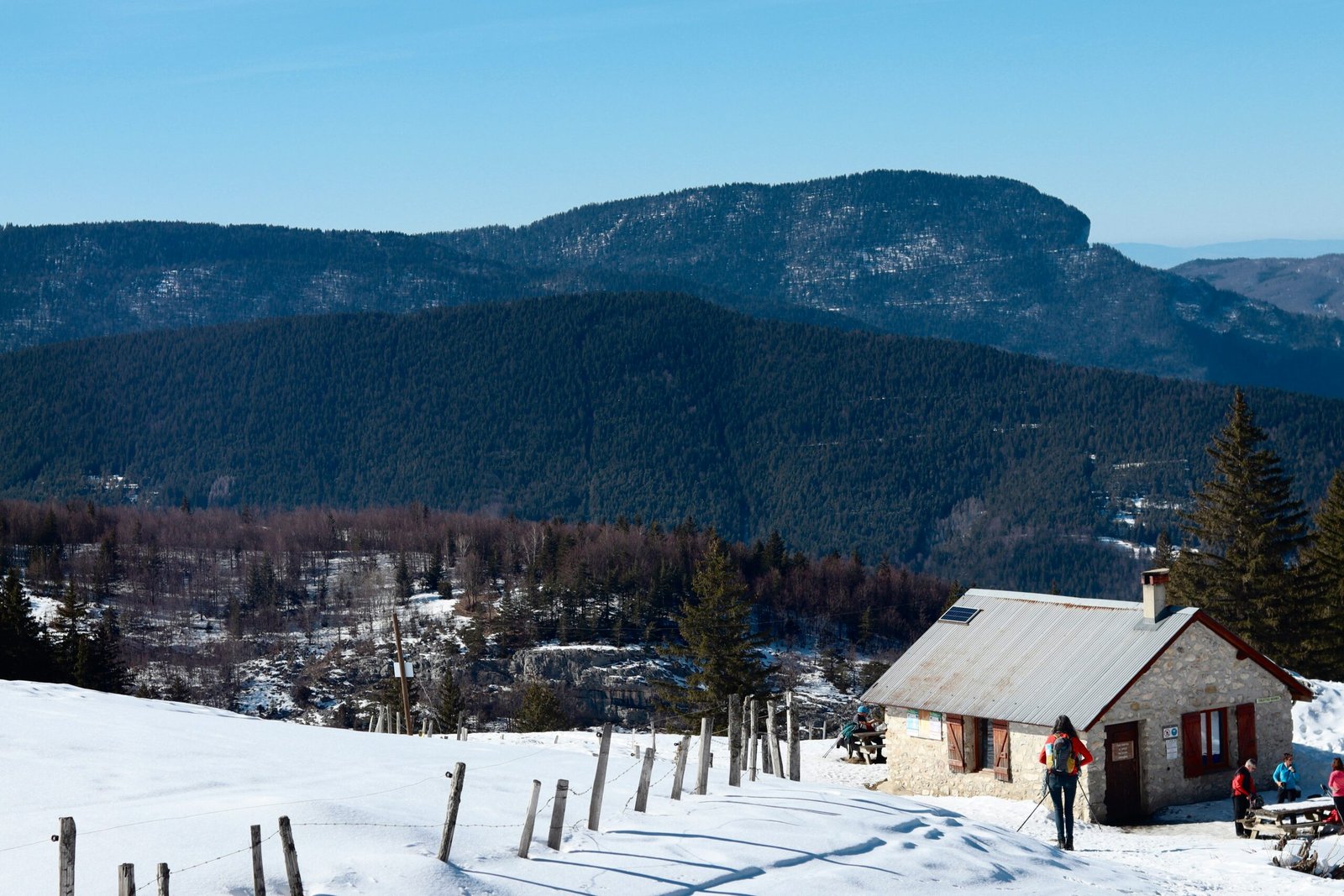 Georgia Through the Seasons: When to Visit for Wine Harvest, Mountain Hikes, or Snowy Escapes